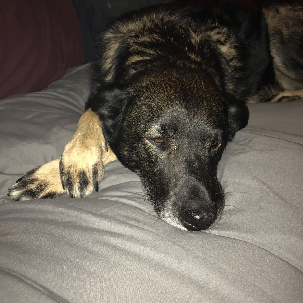 Meet your Posher, Calla